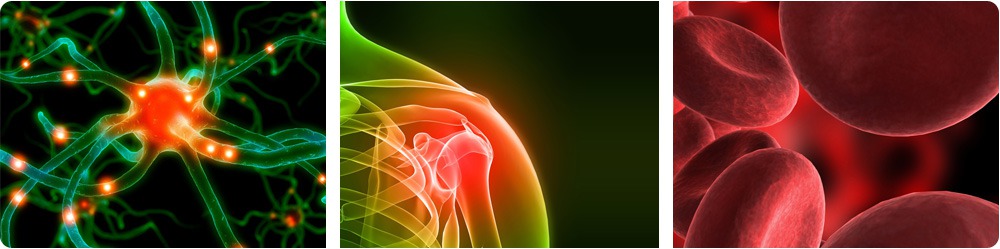 Santé et sciences de la vie